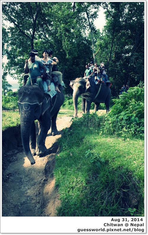 ♣ 尼泊爾遊記 Day 3【奇旺國家公園 獨木舟+騎大象】
