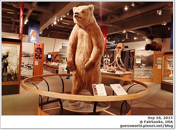 ♣ 阿拉斯加遊記 Day6 Fairbanks【狗拉雪橇+大型動物研究站+阿拉斯加大學極地博物館+阿拉斯加大油管】