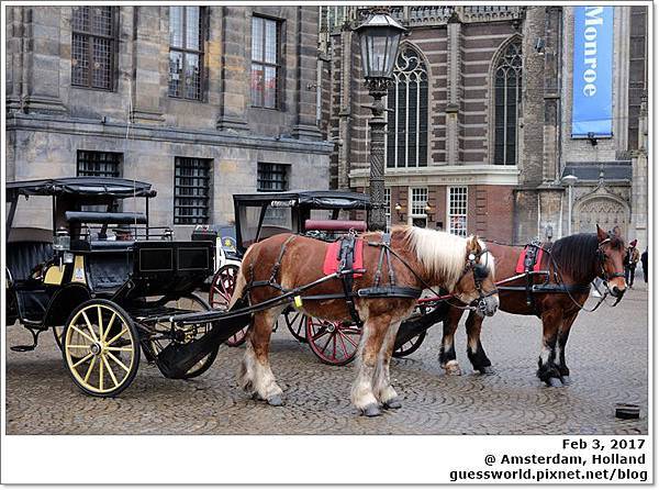 ♞ 荷蘭遊記 Day9│Amsterdam【阿姆斯特丹王宮、海尼根體驗館、辛格花市】