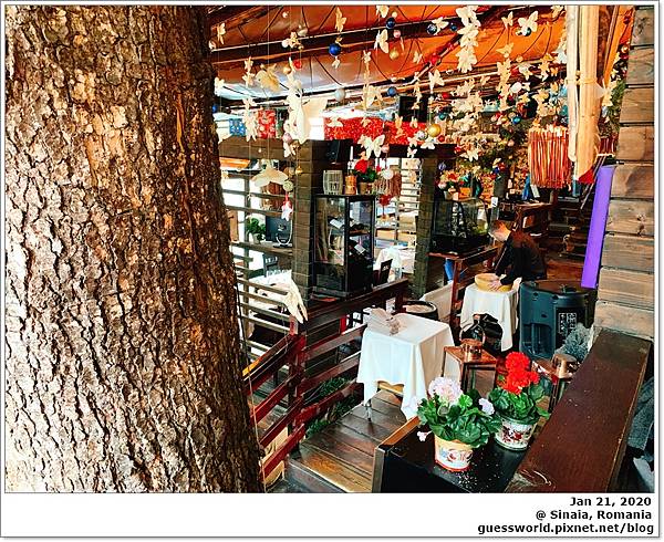 ♠ 羅馬尼亞食記│錫納亞【Restaurant Forest】- 森林裡的餐廳